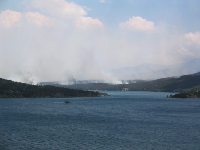Forest Fire