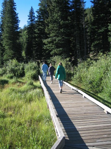 Boardwalk over the beaver pond