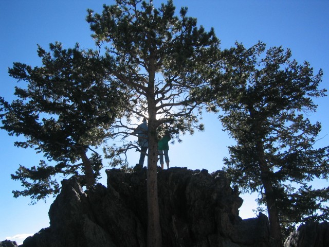 Higher up yet