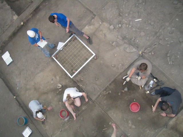 Students digging
