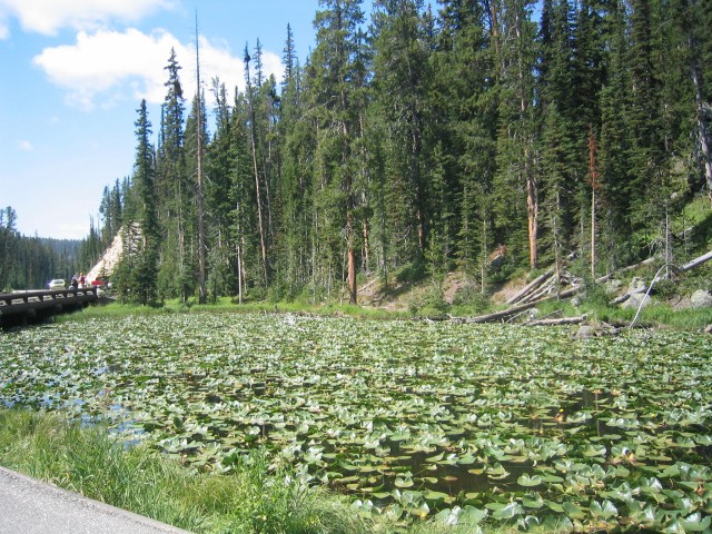 Craig Pass