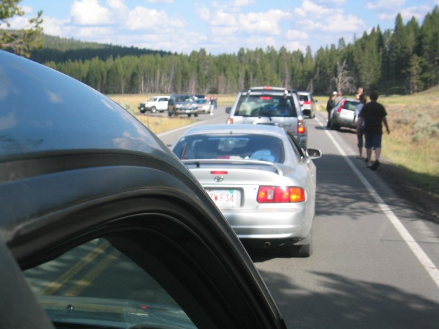 Traffic Jam