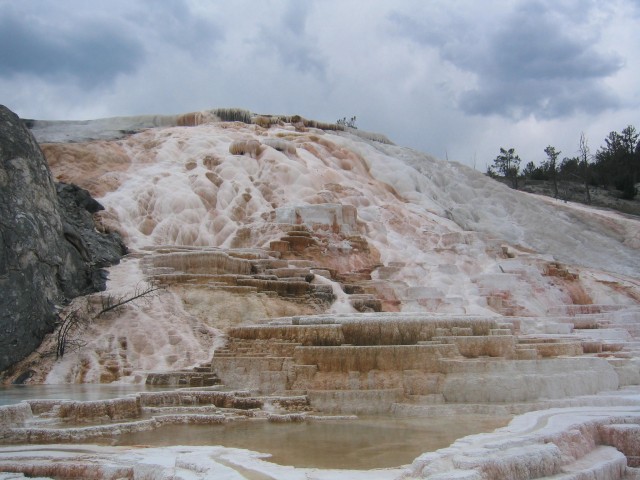 Mammoth Hot Springs